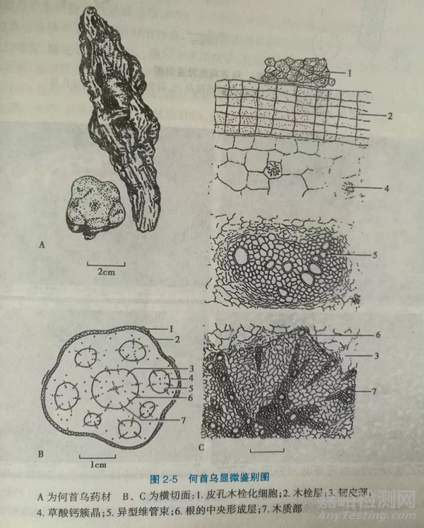 藥物的鑒別試驗知識匯總
