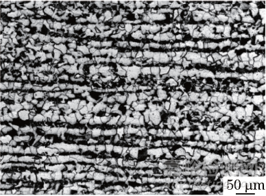 某電廠省煤器管泄漏失效分析