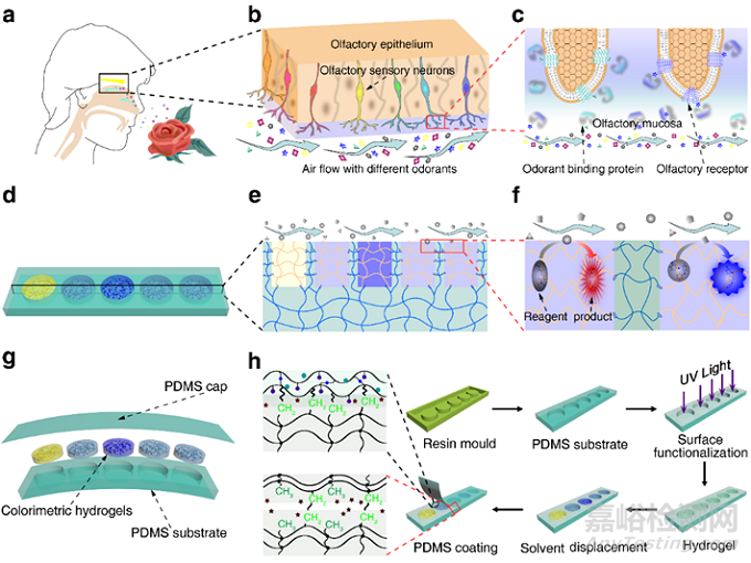電子鼻更靈敏了
