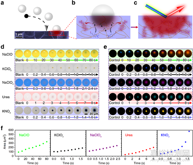 電子鼻更靈敏了