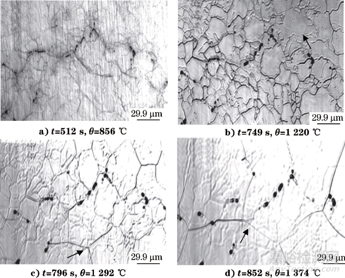 高溫共焦激光掃描顯微鏡在鋼鐵原位組織觀察中的應(yīng)用