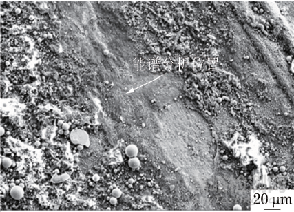 超超臨界火電機組熱交換器BFe10-1-1白銅管泄漏失效分析