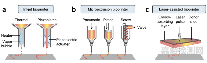 3D生物打印構(gòu)建功能化軟組織研發(fā)最新進(jìn)展