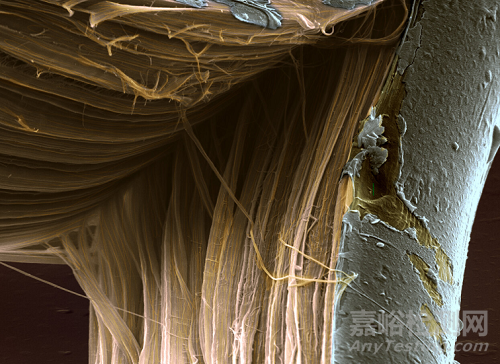 PPTA和UHMWPE纖維的失效機(jī)理