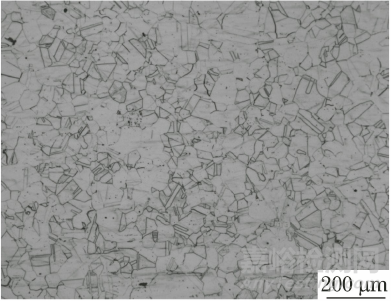 316不銹鋼護欄腐蝕失效分析案例