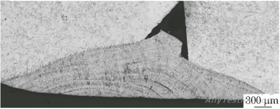 316不銹鋼護欄腐蝕失效分析案例