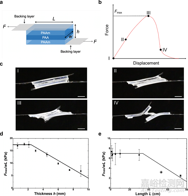 哈佛大學(xué)：軟材料粘接強(qiáng)度與韌性研究取得新進(jìn)展