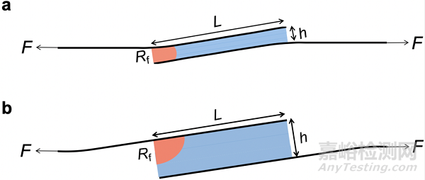 哈佛大學(xué)：軟材料粘接強(qiáng)度與韌性研究取得新進(jìn)展