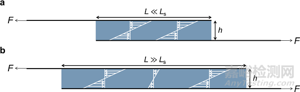 哈佛大學(xué)：軟材料粘接強(qiáng)度與韌性研究取得新進(jìn)展