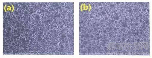 壓實密度對鋰電池性能的影響分析