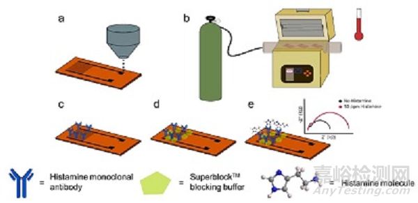 美研究人員實(shí)現(xiàn)石墨烯生物傳感器低成本制造
