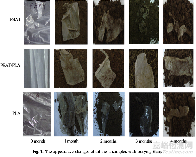 何謂降解塑料？ 降解塑料知識(shí)解答