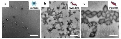 納米顆粒的形狀結(jié)構(gòu)如何影響復(fù)合水凝膠的粘合性和機(jī)械性能