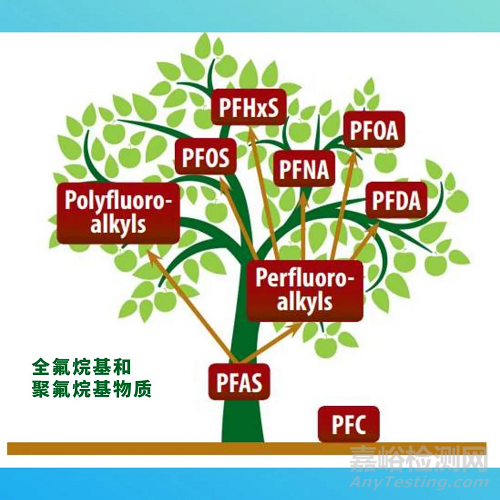 什么是PFAS？PFAS國(guó)內(nèi)外法規(guī)要求與檢測(cè)項(xiàng)目