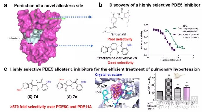 變構抑制劑：吳茱萸堿類衍生物靶向PDE5變構位點的發(fā)現(xiàn)