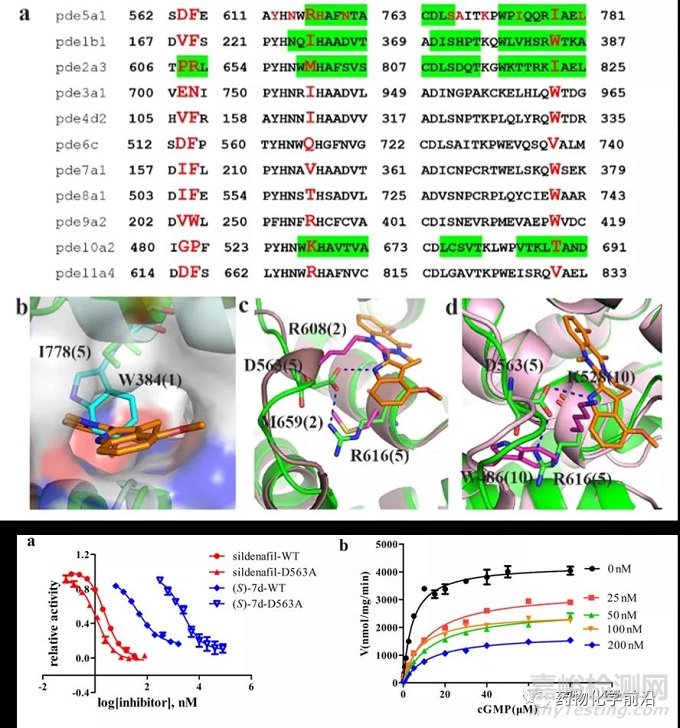 變構抑制劑：吳茱萸堿類衍生物靶向PDE5變構位點的發(fā)現(xiàn)