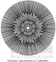 聚乙烯的經(jīng)典形態(tài)