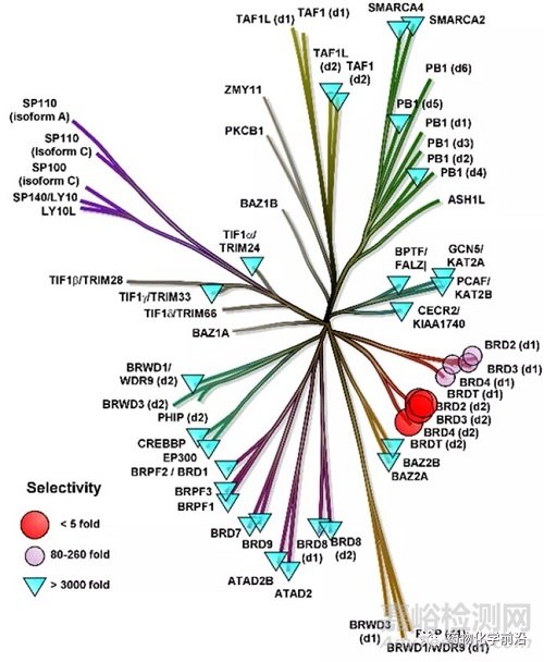 葛蘭素史克發(fā)現(xiàn)高選擇性的BET第二溴域抑制劑