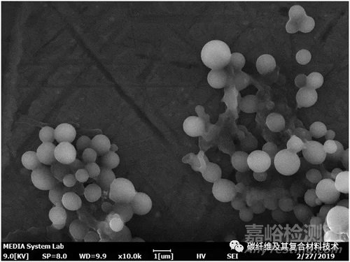 使用掃描電子顯微鏡研究海水中的塑料微粒