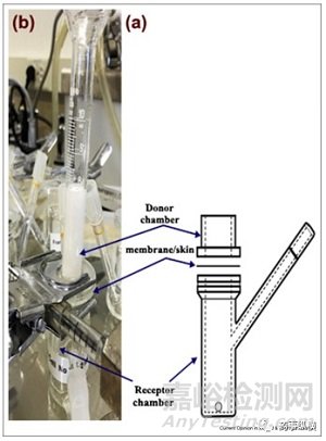 泡沫劑在制藥及醫(yī)療領(lǐng)域中的應(yīng)用
