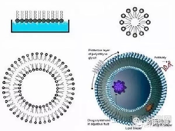 關(guān)于抗腫瘤的納米制劑的前景的討論