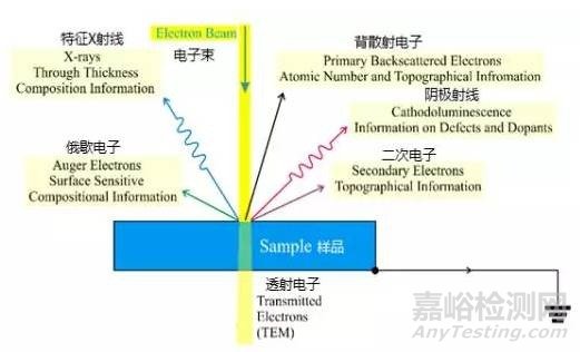 射電子顯微鏡TEM的原理，樣品制備等基本知識介紹