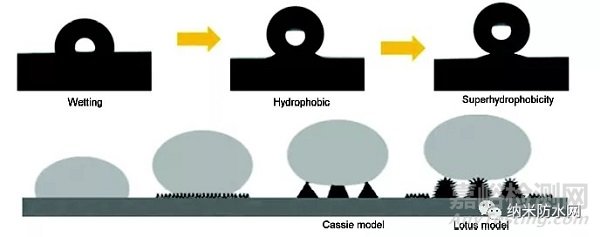 316L不銹鋼表面超疏水微納鎳鍍層定向電沉積工藝優(yōu)化研究