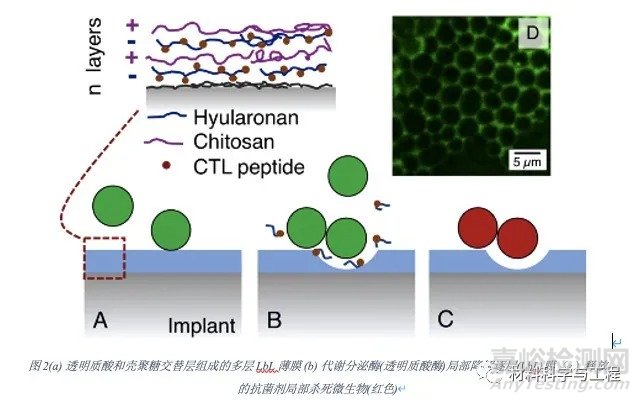 綜述：自防御抗菌生物材料表面