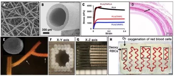 Science綜述：人造血管