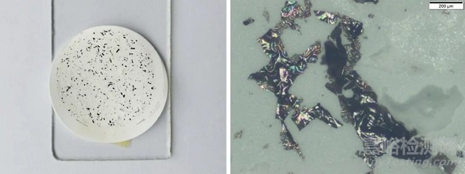 【檢測案例】取樣容器污染潤滑油