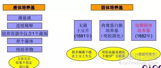 微生物菌群的分離純化、培養(yǎng)、鑒定及保藏