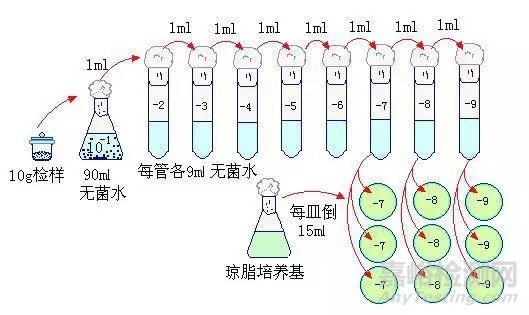 菌落總數(shù)的概念及檢測方法