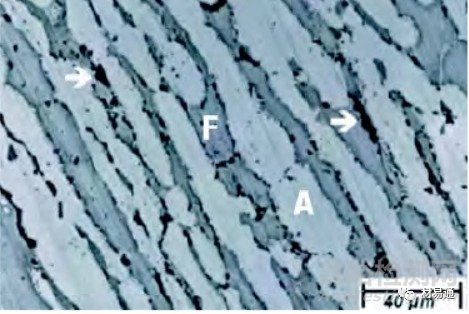 雙相不銹鋼的化學(xué)成分、耐腐蝕性能、力學(xué)性能以及應(yīng)用領(lǐng)域等知識匯總