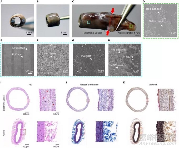 電子血管的制備流程、機械性能以及效果測試