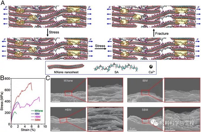 北航頂刊《PNAS》：高強高導(dǎo)電的MXene薄片制備機理和性能優(yōu)勢
