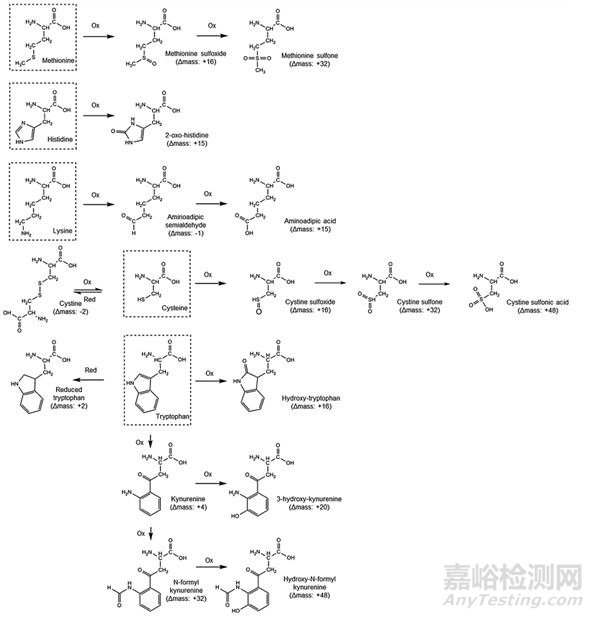合成多肽藥物質(zhì)控及雜質(zhì)譜研究