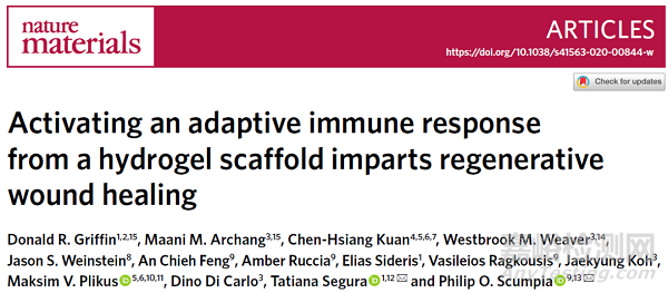 水凝膠支架可通過激活適應(yīng)性免疫反應(yīng)促進(jìn)再生傷口愈合