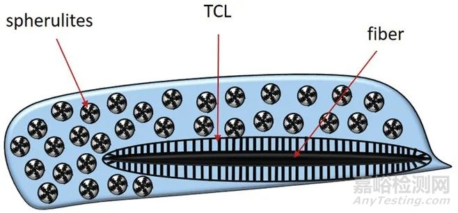 微原纖化復(fù)合材料的加工、結(jié)構(gòu)與性能的關(guān)系