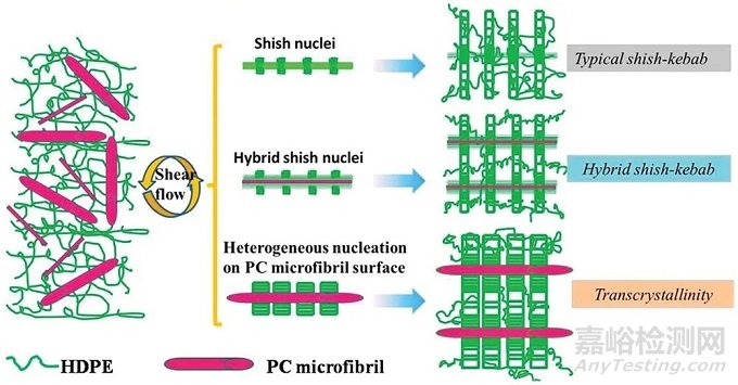 微原纖化復(fù)合材料的加工、結(jié)構(gòu)與性能的關(guān)系