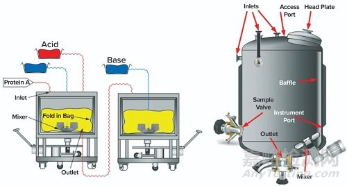 病毒滅活步驟的注意事項