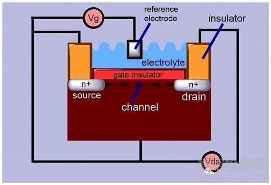 生物芯片的概念、技術(shù)細(xì)分及發(fā)展前景