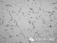 2Cr13Mn9Ni4不銹鋼卡箍腐蝕開(kāi)裂分析