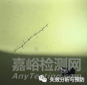 從失效案例中探討發(fā)紋缺陷的常見表現(xiàn)及危害