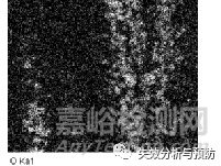 從失效案例中探討發(fā)紋缺陷的常見表現(xiàn)及危害