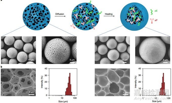 卡脖子的微球技術(shù)究竟卡在哪里？
