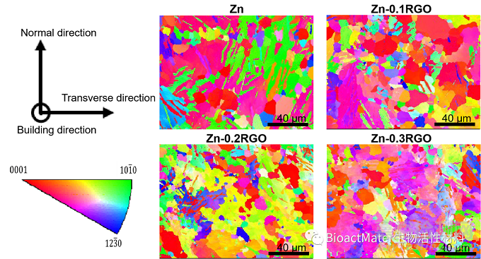 還原氧化石墨烯調(diào)控鋅支架微結(jié)構(gòu)和織構(gòu)研究