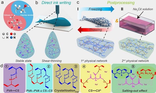 中科院蘭州化物所王曉龍研究員團(tuán)隊(duì)實(shí)現(xiàn)超高強(qiáng)韌水凝膠3D打印
