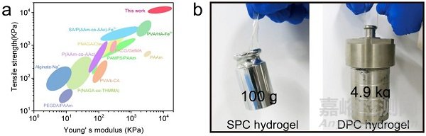 中科院蘭州化物所王曉龍研究員團(tuán)隊(duì)實(shí)現(xiàn)超高強(qiáng)韌水凝膠3D打印