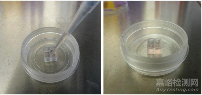 細(xì)胞劃痕實(shí)驗(yàn)新方法詳解