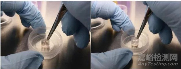 細(xì)胞劃痕實(shí)驗(yàn)新方法詳解